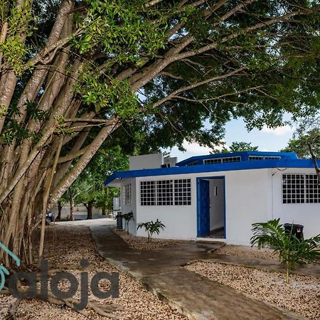 Villa Xtohil With Private Access To The Magic 7 Colors Lagoon Bacalar Eksteriør billede