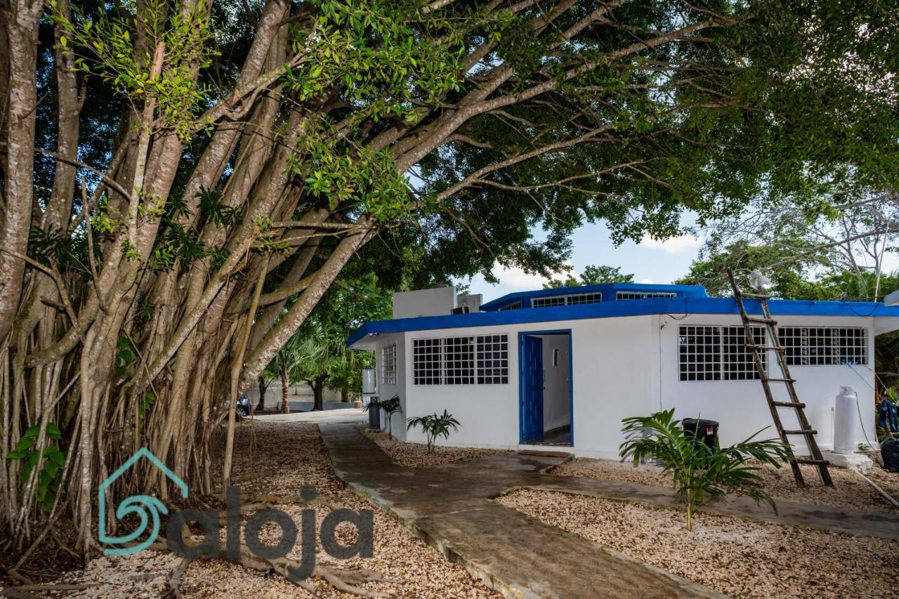 Villa Xtohil With Private Access To The Magic 7 Colors Lagoon Bacalar Eksteriør billede