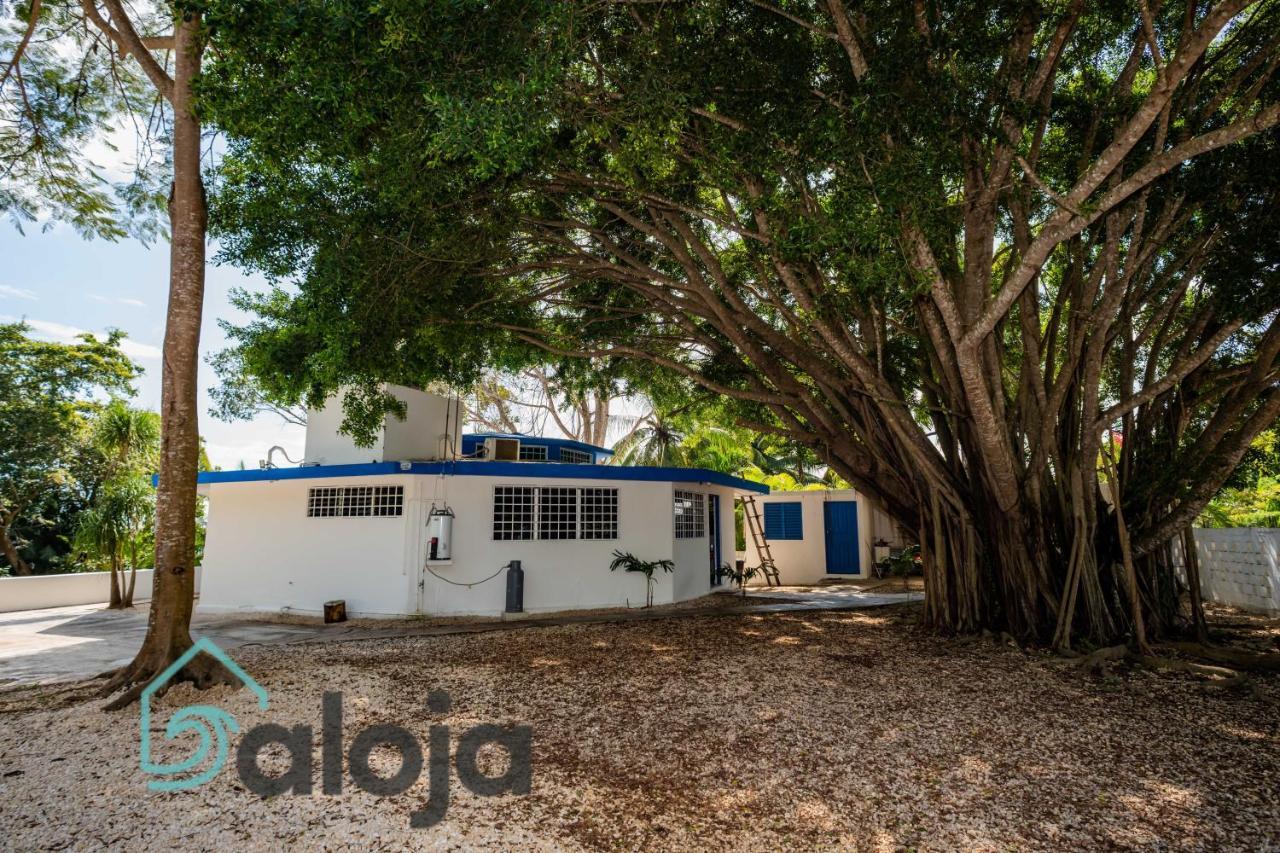 Villa Xtohil With Private Access To The Magic 7 Colors Lagoon Bacalar Eksteriør billede